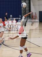 Photo from the gallery "Centennial @ Canby"
