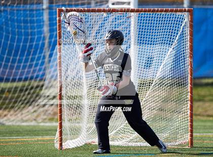 Thumbnail 3 in Westfield @ West Potomac photogallery.