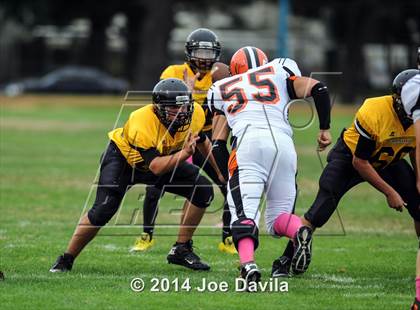 Thumbnail 2 in Santa Ynez @ Cabrillo photogallery.