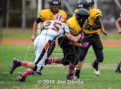 Thumbnail 2 in Santa Ynez @ Cabrillo photogallery.