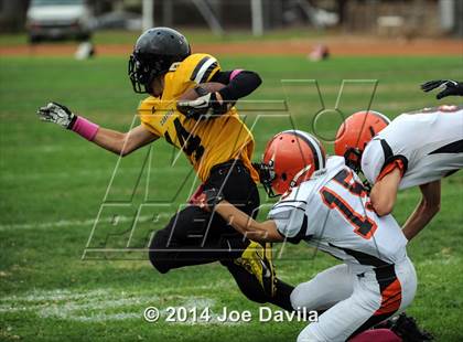 Thumbnail 3 in Santa Ynez @ Cabrillo photogallery.