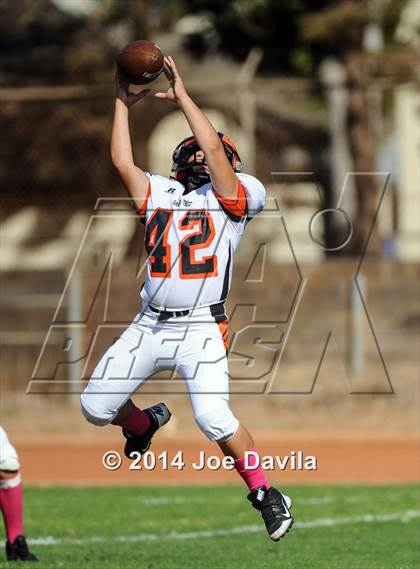 Thumbnail 3 in Santa Ynez @ Cabrillo photogallery.