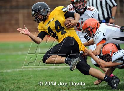 Thumbnail 2 in Santa Ynez @ Cabrillo photogallery.