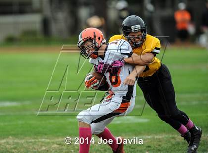 Thumbnail 2 in Santa Ynez @ Cabrillo photogallery.