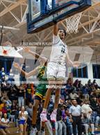 Photo from the gallery "Pine Forest @ E.E. Smith"