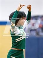 Photo from the gallery "Pine Forest @ E.E. Smith"