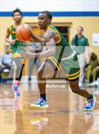 Photo from the gallery "Pine Forest @ E.E. Smith"