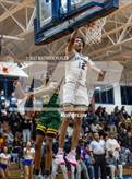 Photo from the gallery "Pine Forest @ E.E. Smith"