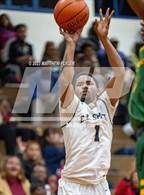 Photo from the gallery "Pine Forest @ E.E. Smith"