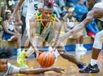 Photo from the gallery "Pine Forest @ E.E. Smith"