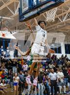 Photo from the gallery "Pine Forest @ E.E. Smith"