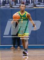 Photo from the gallery "Pine Forest @ E.E. Smith"