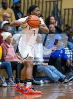 Photo from the gallery "Pine Forest @ E.E. Smith"