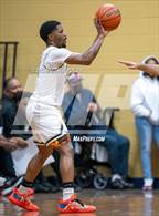 Photo from the gallery "Pine Forest @ E.E. Smith"