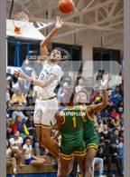 Photo from the gallery "Pine Forest @ E.E. Smith"