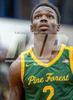 Photo from the gallery "Pine Forest @ E.E. Smith"