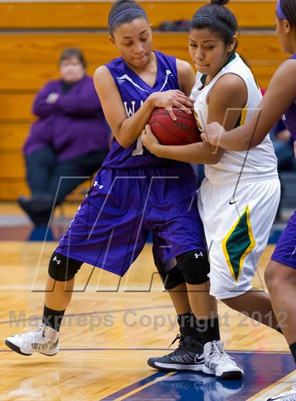 Thumbnail 2 in Warren vs. Holmes photogallery.
