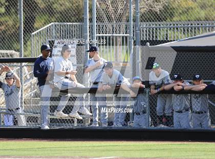 Thumbnail 2 in Loyola vs St Francis photogallery.