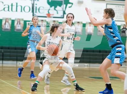 Thumbnail 3 in Louisville @ Canton Central Catholic photogallery.