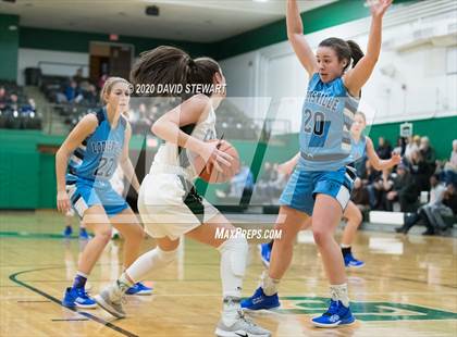 Thumbnail 1 in Louisville @ Canton Central Catholic photogallery.