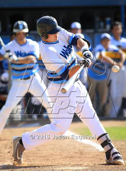 Thumbnail 3 in Los Altos vs. Walnut photogallery.