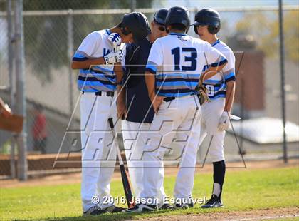 Thumbnail 1 in Los Altos vs. Walnut photogallery.