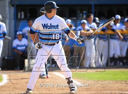 Thumbnail 2 in Los Altos vs. Walnut photogallery.