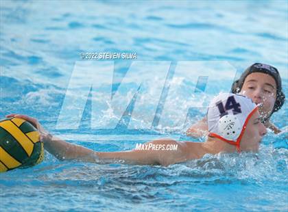 Thumbnail 2 in Valhalla vs. Vista (CIF SDS Open Division Quarterfinal) photogallery.