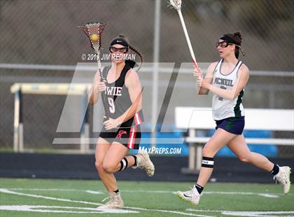 Thumbnail 3 in Bowie @ McNeil photogallery.