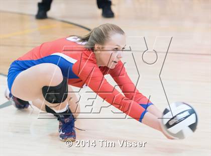 Thumbnail 3 in Cherry Creek @ Mountain Vista photogallery.