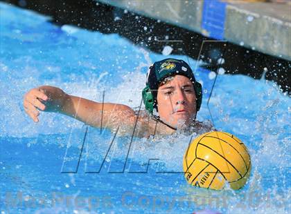 Thumbnail 1 in Long Beach Poly @ La Jolla photogallery.