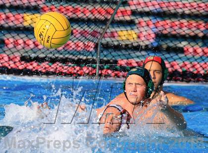 Thumbnail 3 in Long Beach Poly @ La Jolla photogallery.