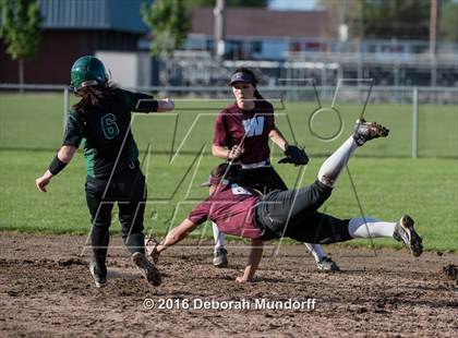 Thumbnail 1 in Sheldon @ Willamette (Game 2) photogallery.