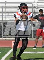 Photo from the gallery "James Logan @ California"