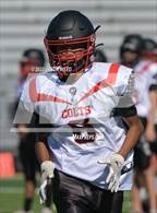 Photo from the gallery "James Logan @ California"