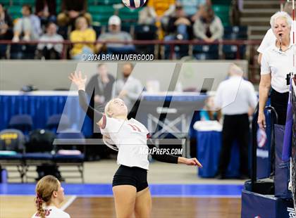 Thumbnail 3 in Merino vs. Sargent (CHSAA 1A Round 2) photogallery.