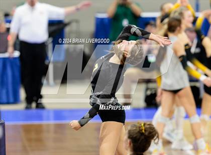 Thumbnail 2 in Merino vs. Sargent (CHSAA 1A Round 2) photogallery.