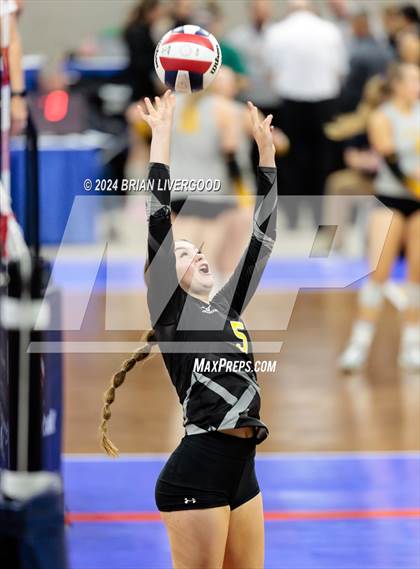 Thumbnail 3 in Merino vs. Sargent (CHSAA 1A Round 2) photogallery.