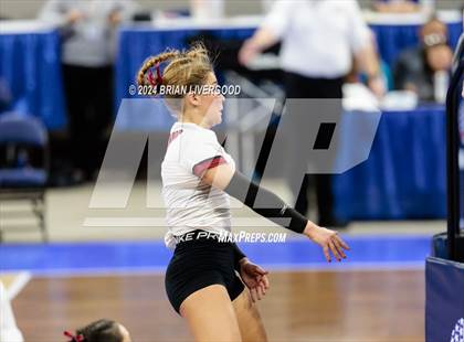 Thumbnail 3 in Merino vs. Sargent (CHSAA 1A Round 2) photogallery.