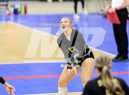 Thumbnail 1 in Merino vs. Sargent (CHSAA 1A Round 2) photogallery.