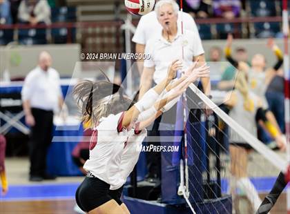 Thumbnail 2 in Merino vs. Sargent (CHSAA 1A Round 2) photogallery.