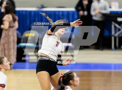 Thumbnail 3 in Merino vs. Sargent (CHSAA 1A Round 2) photogallery.