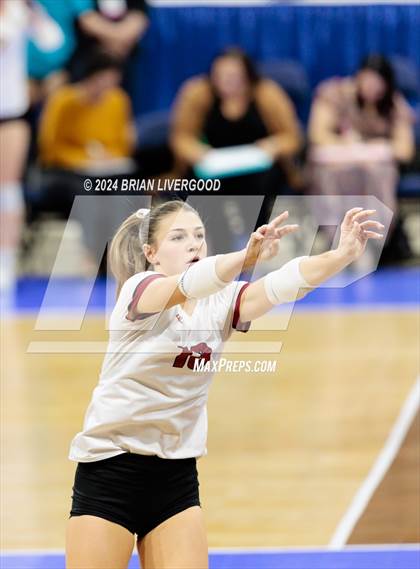 Thumbnail 3 in Merino vs. Sargent (CHSAA 1A Round 2) photogallery.
