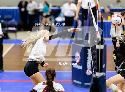 Thumbnail 3 in Merino vs. Sargent (CHSAA 1A Round 2) photogallery.