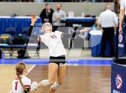 Thumbnail 2 in Merino vs. Sargent (CHSAA 1A Round 2) photogallery.
