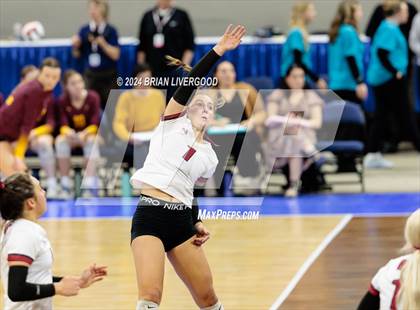 Thumbnail 3 in Merino vs. Sargent (CHSAA 1A Round 2) photogallery.