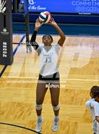 Photo from the gallery "Harlan @ Warren"