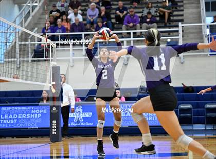 Thumbnail 3 in Harlan @ Warren photogallery.