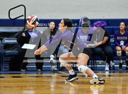 Thumbnail 1 in Harlan @ Warren photogallery.