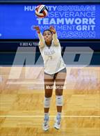 Photo from the gallery "Harlan @ Warren"